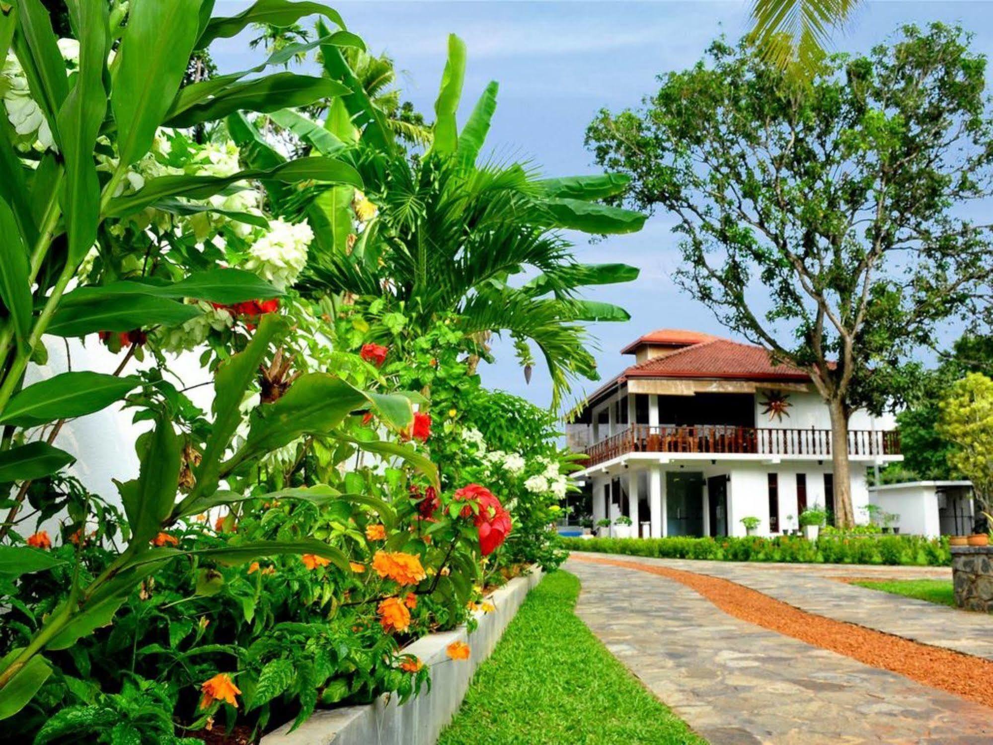 Rockery Villa Ayurveda Бентота Екстер'єр фото